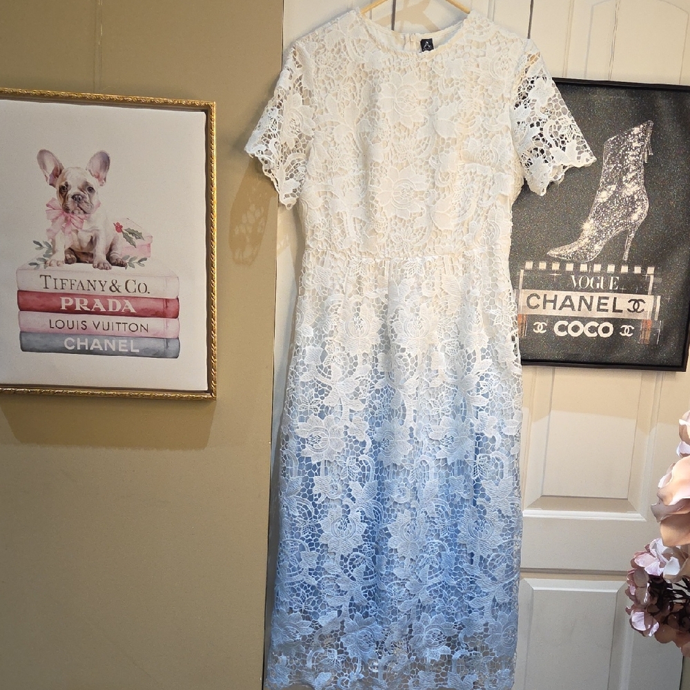 Nwot Large Anewsta  Elegant White And Blue  Lace Dress